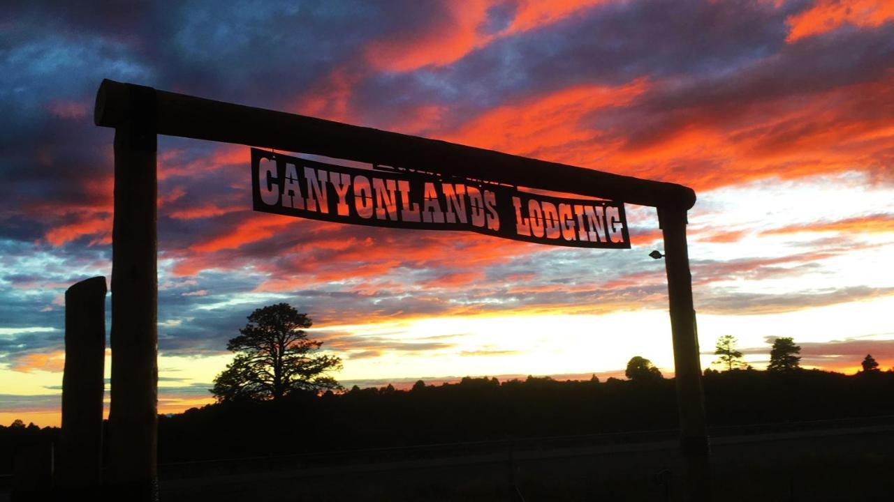 White Pine Cabin By Canyonlands Lodging Monticello Exterior foto